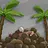 Coconut Small Business