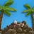 Coconut Startup