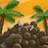 Coconut Empire