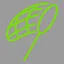 Bug Hunter icon
