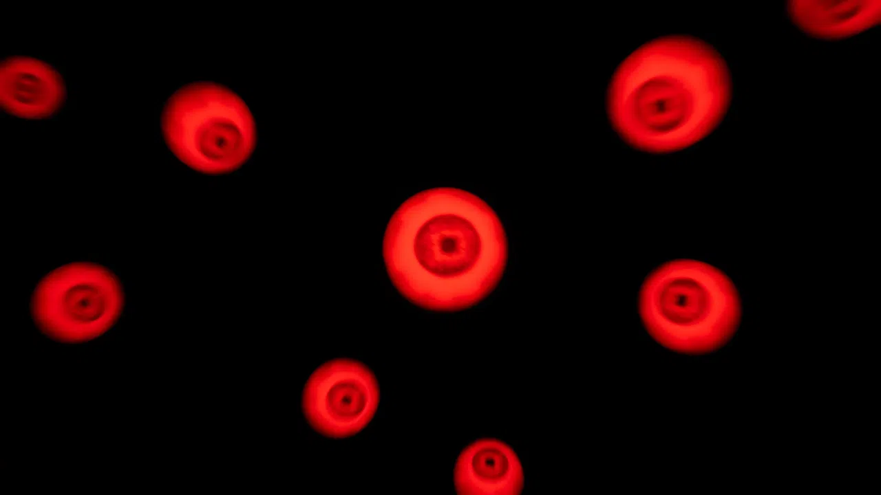 Echo Maze Screenshot 3