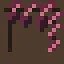 Menagerie icon