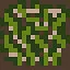 Climber Bot icon