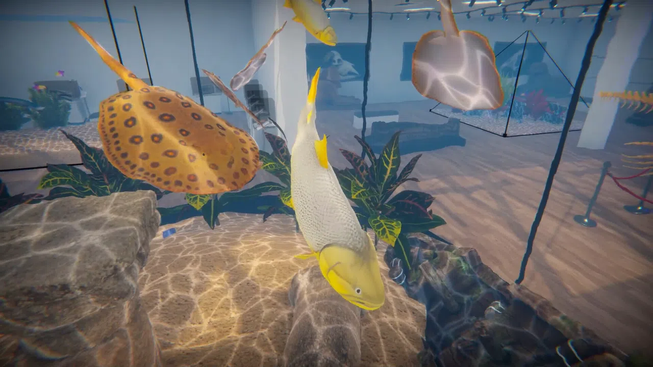 Aquarist - American Fish DLC Screenshot 1
