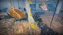 Aquarist - American Fish DLC Screenshot 1