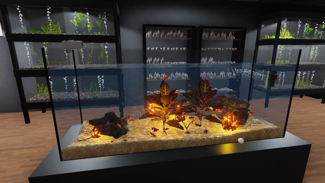 Aquarist - American Fish DLC Screenshot 3