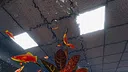 Aquarist - American Fish DLC Screenshot 8