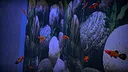 Aquarist - American Fish DLC Screenshot 11