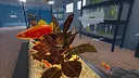 Aquarist - American Fish DLC Screenshot 4