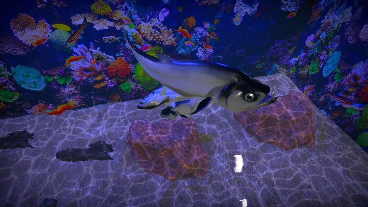Aquarist - American Fish DLC Screenshot 5