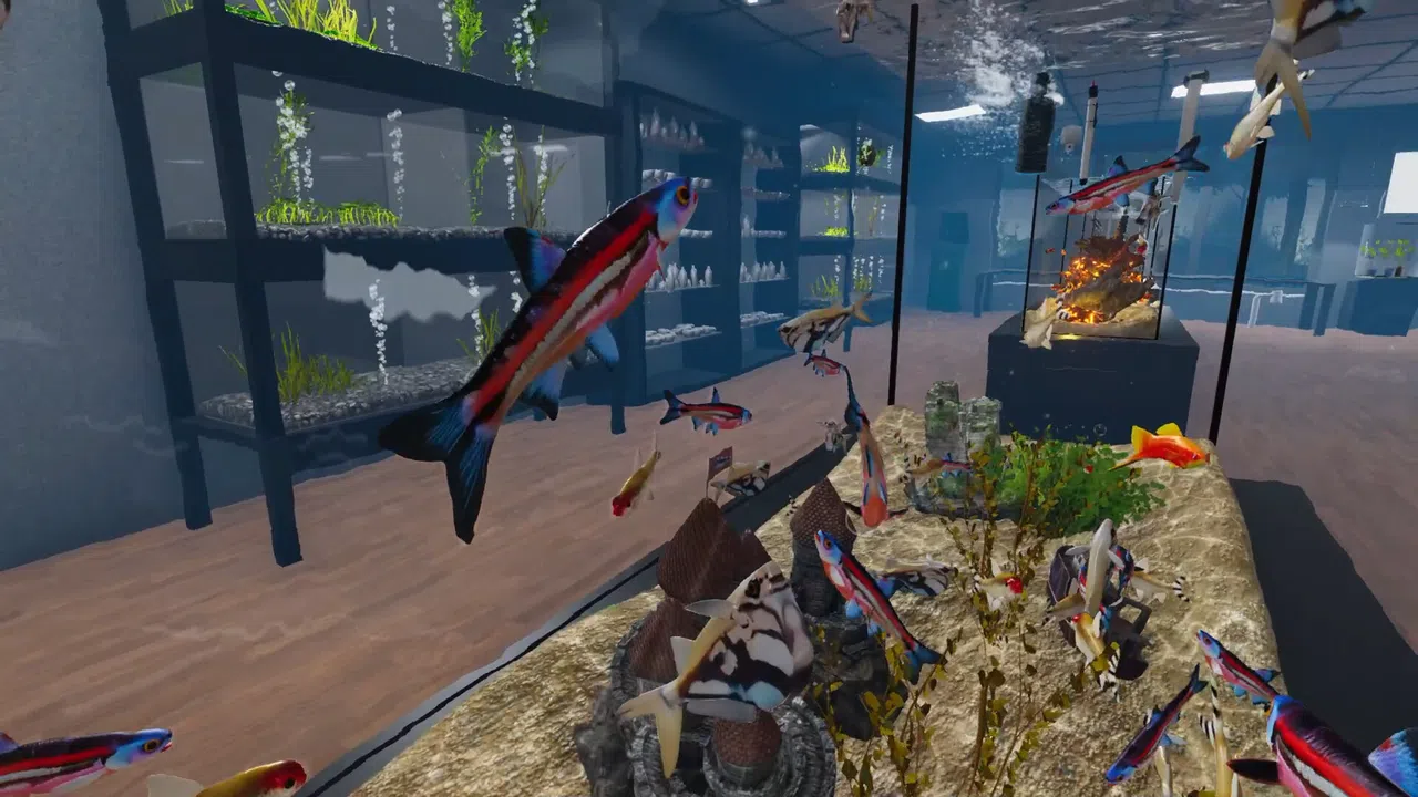 Aquarist - American Fish DLC Screenshot 6