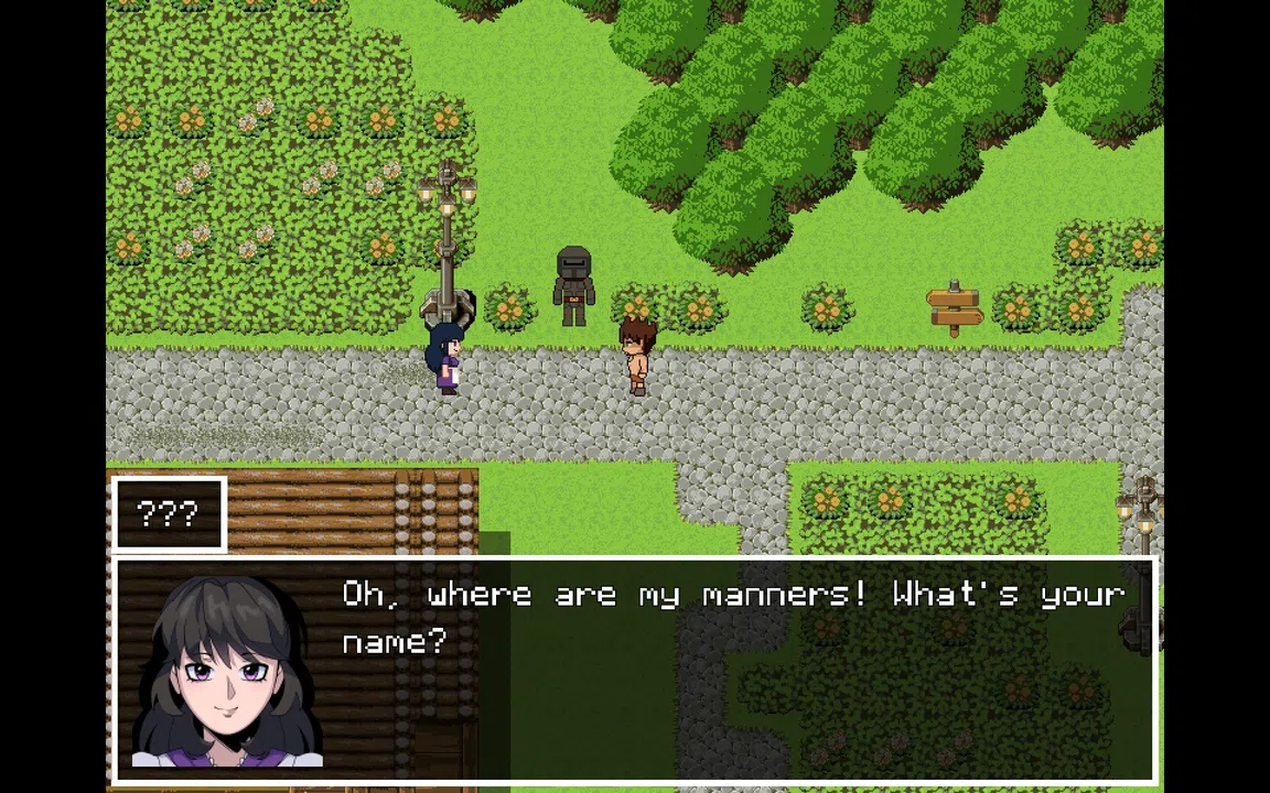 Secret of Havendor Demo Screenshot 4