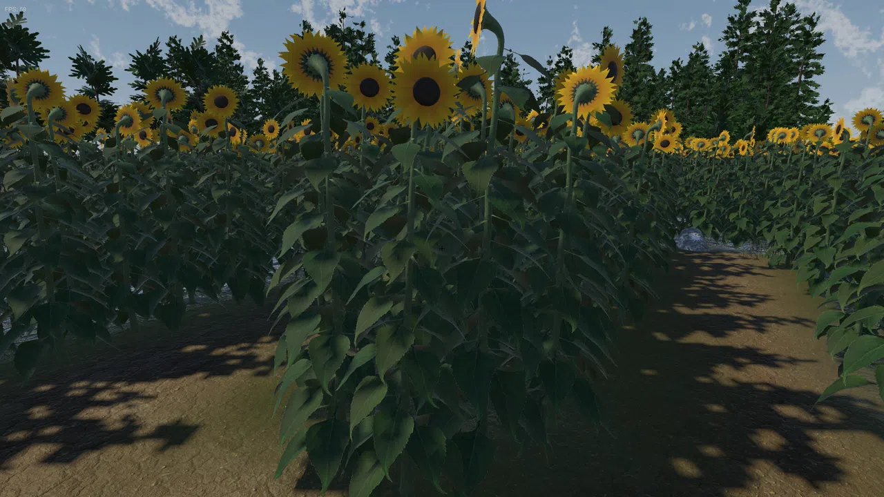The Path of the Sunflower Screenshot 3