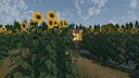 The Path of the Sunflower Screenshot 4
