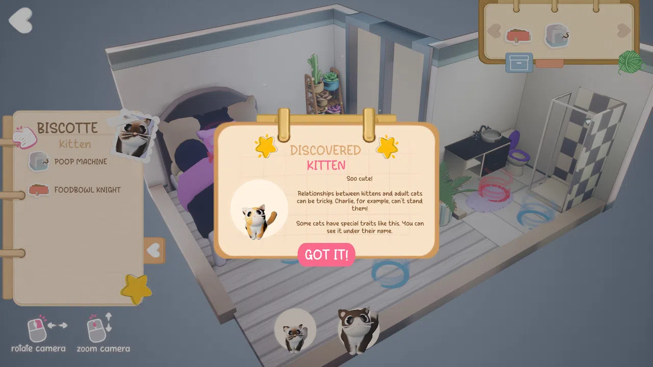 Kitty Haven Screenshot 3