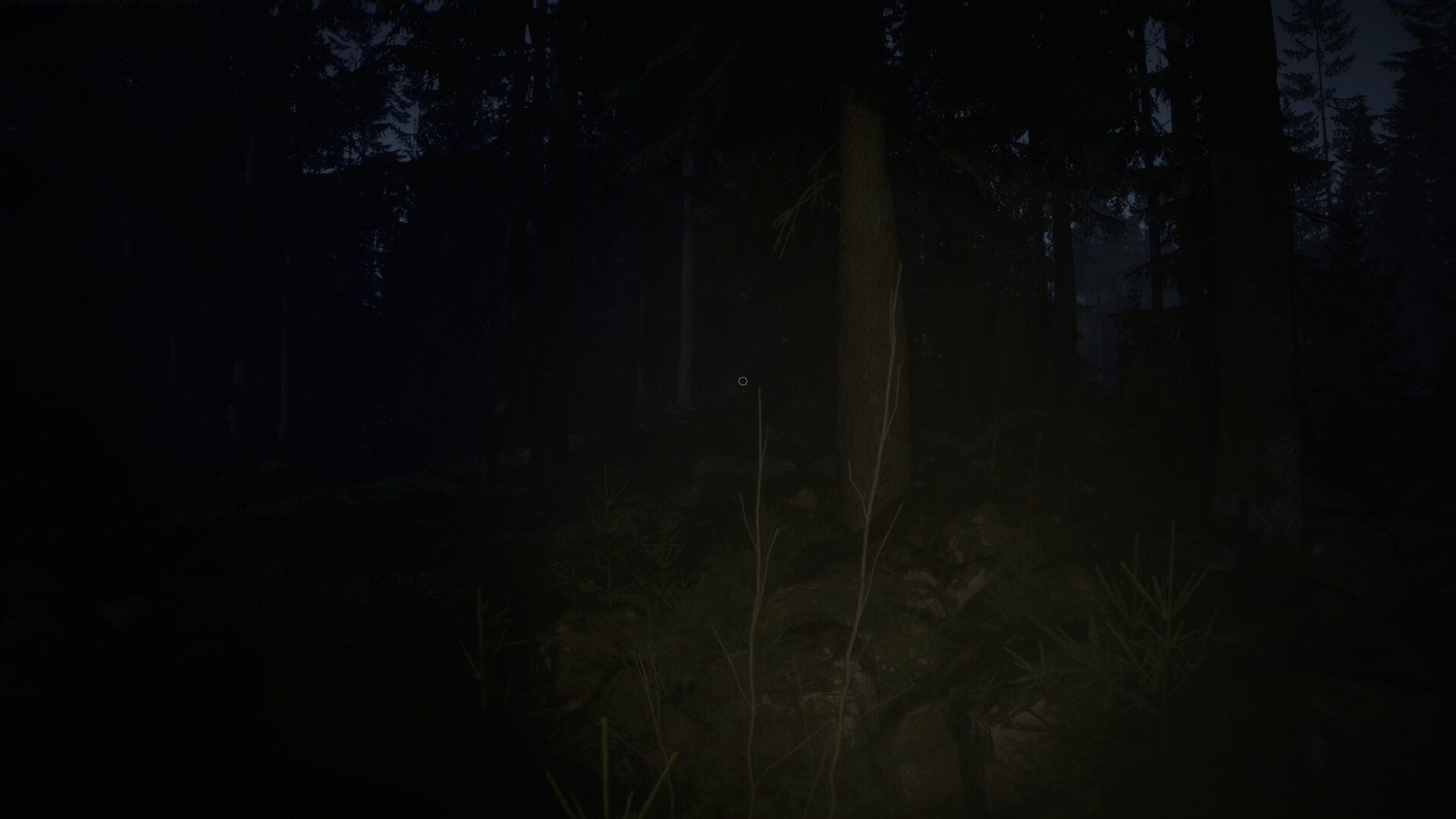 Veylora Screenshot 0