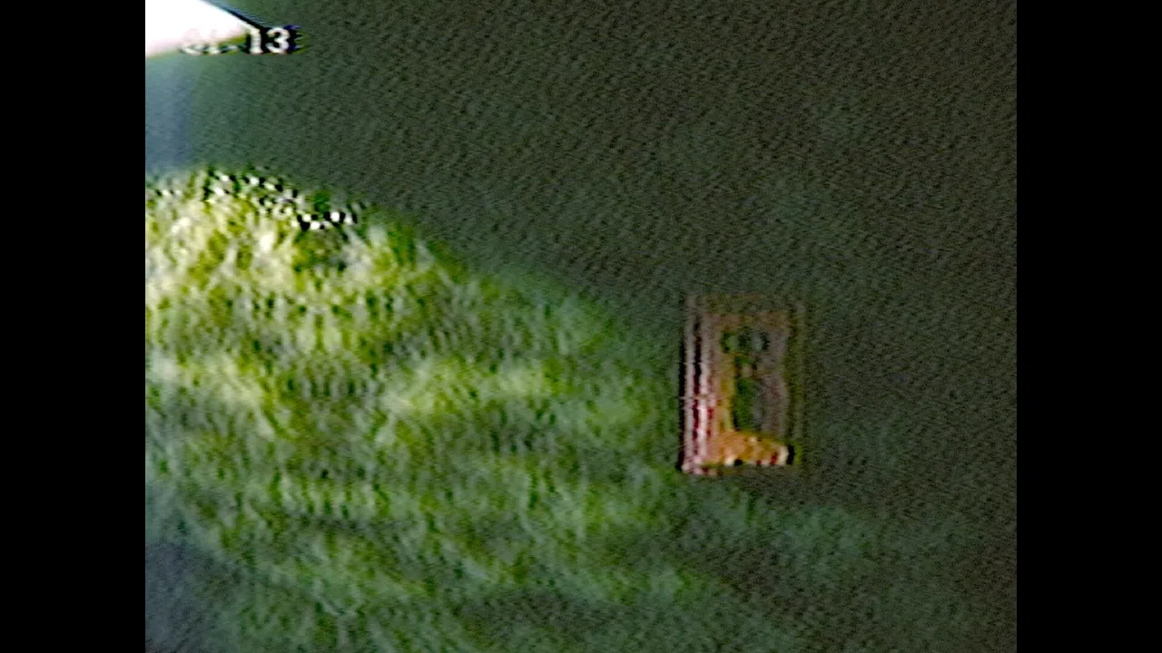 ENTRY_13 Screenshot 2