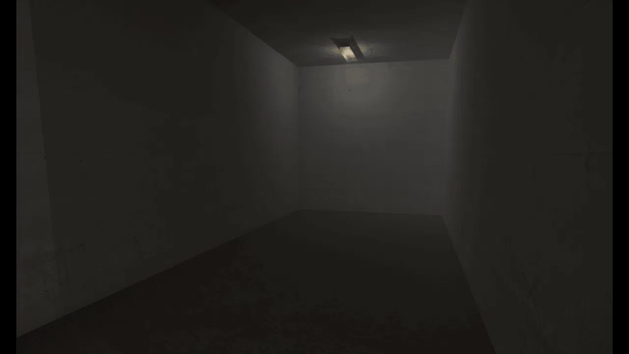 The Mysterious Backrooms Screenshot 0