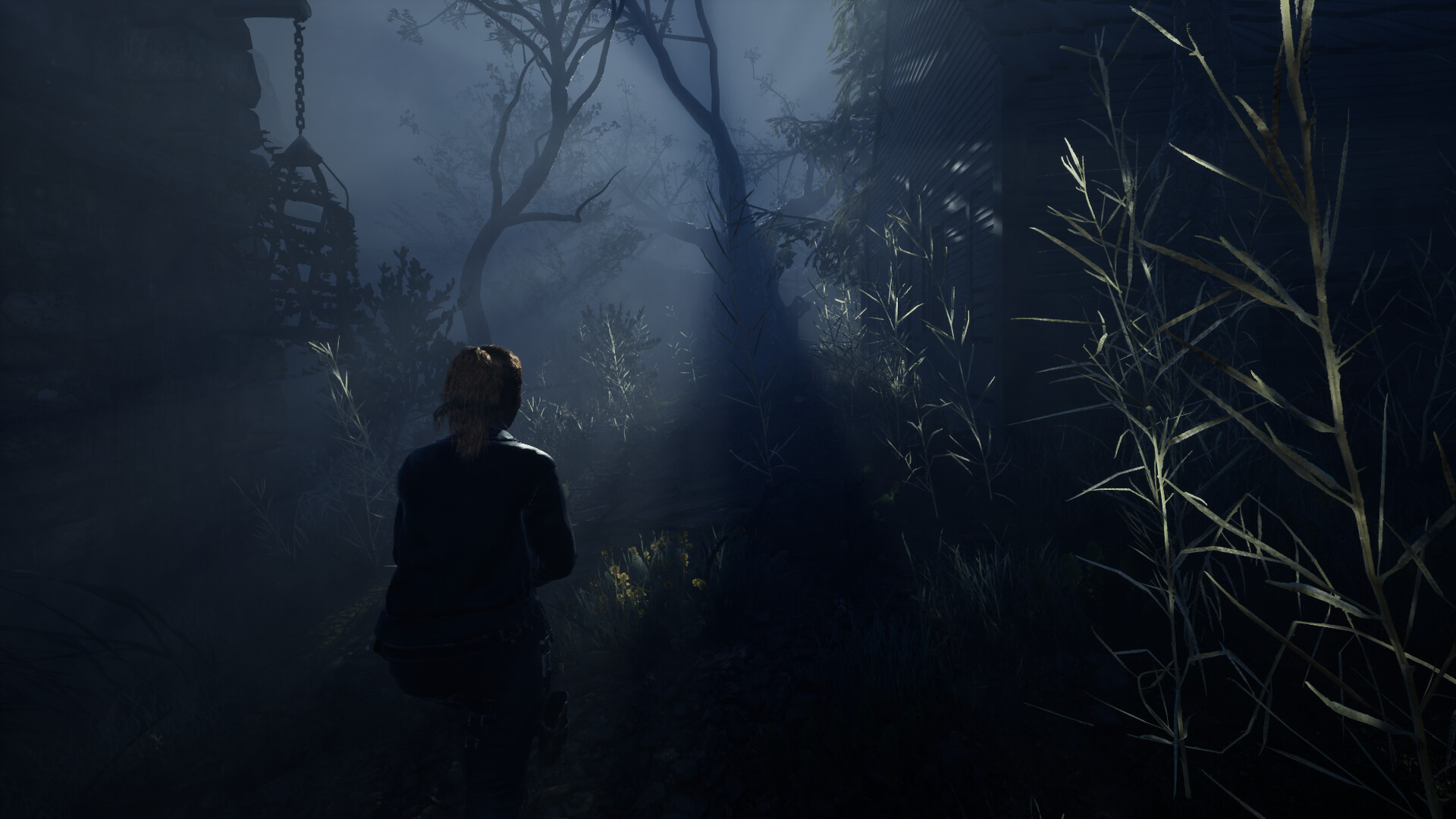 The Other Me Reborn Screenshot 1