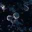 Lerato System icon