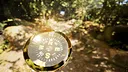 Misty Onsen - Golden Compass Supporter Pack Screenshot 20