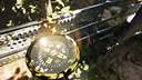 Misty Onsen - Golden Compass Supporter Pack Screenshot 16