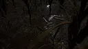 Bruja Screenshot 5