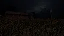 Bruja Screenshot 2