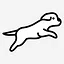Floquinho icon