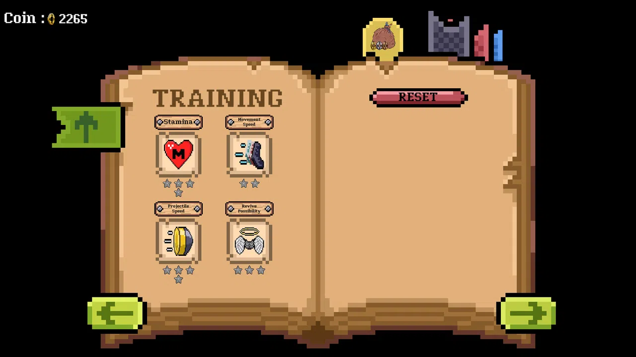 HGD SURVIVOR Screenshot 2