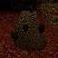 Coal icon