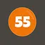 55 words found icon