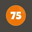 75 words found icon