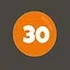 30 words found icon