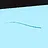 Blue Whisker