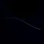 Silver Whisker icon