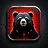 Bear Encounter!