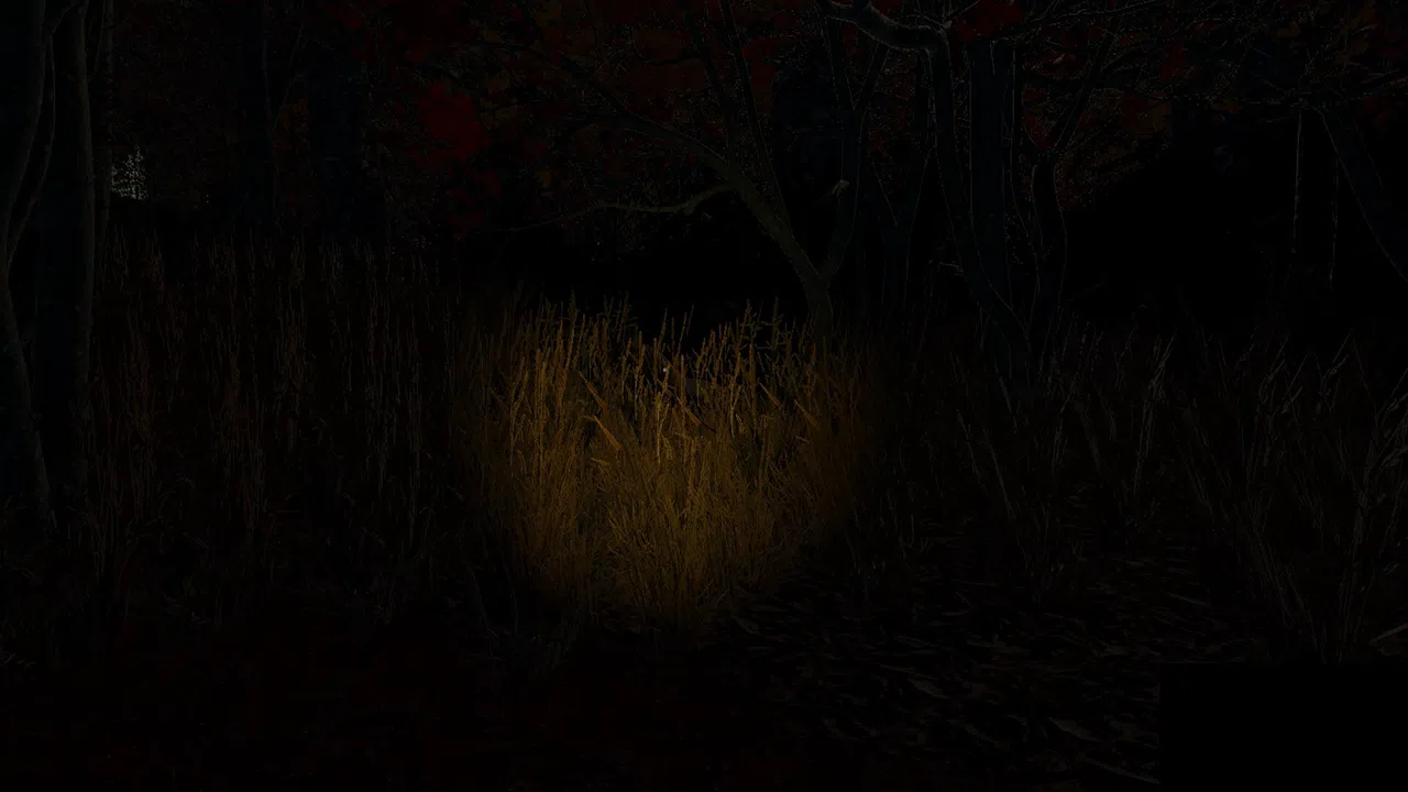 Echoes of the Wind Screenshot 2