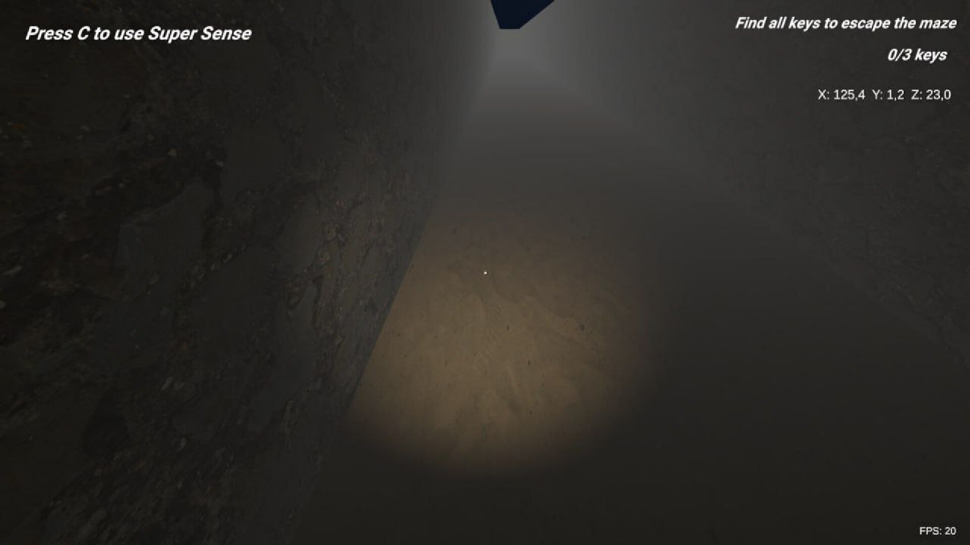 SHADOW MAZE Descent into Fear Screenshot 2