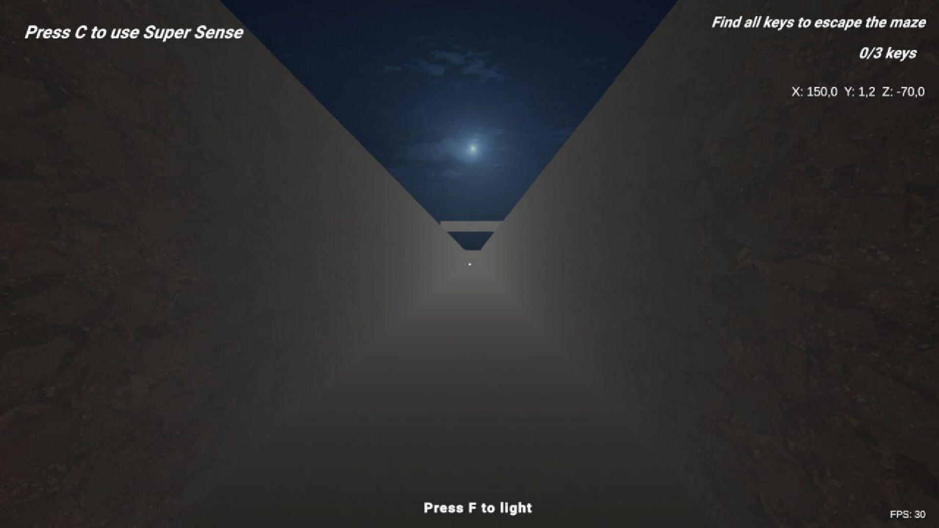 SHADOW MAZE Descent into Fear Screenshot 3