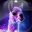Level 5 icon