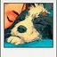 Memory Three icon