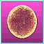 Your first music battle icon