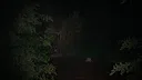 Train Cargo: NightShift Screenshot 4