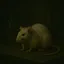 Test Rat icon