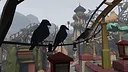 Walkabout Mini Golf: Forgotten Fairyland Screenshot 1