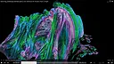 AI-VJ - Fractals 1 Visuals Screenshot 6