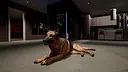 Arcade Games for Pets Screenshot 15