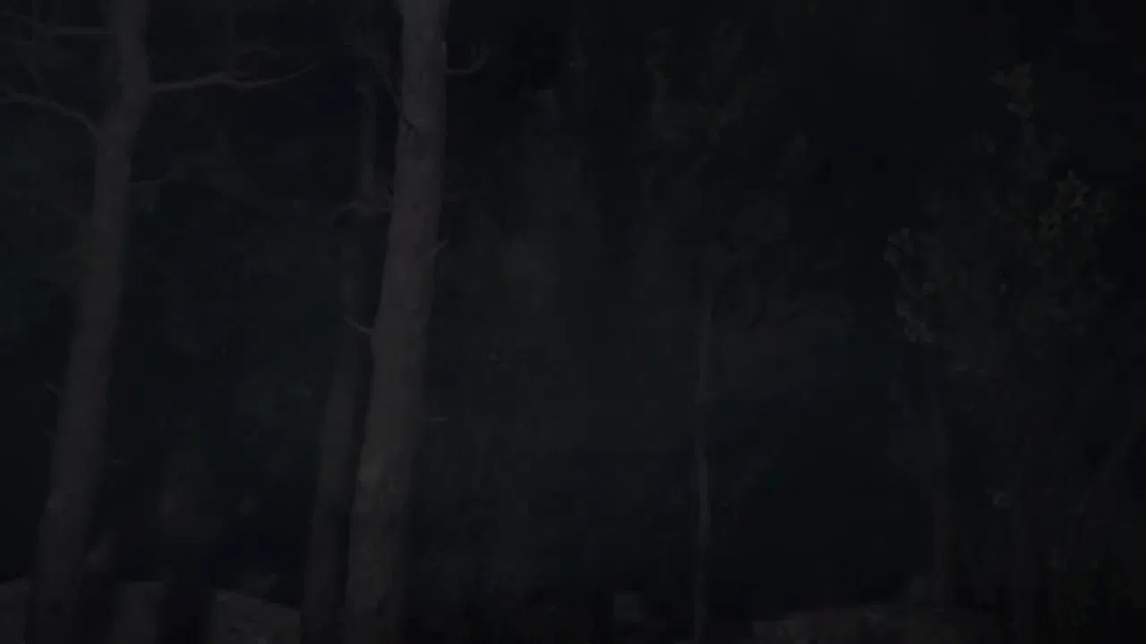 Blood & Silence Screenshot 0