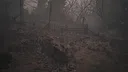Blood & Silence Demo Screenshot 0